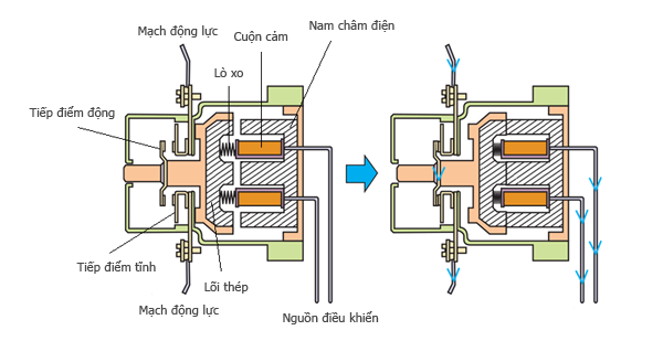 Cấu tạo của contactor-khởi động từ